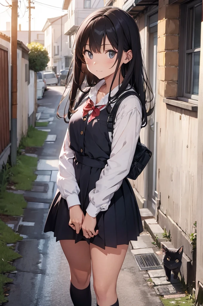 girl in school uniform with a grey cat, alleyway, sunset, 50mm lens