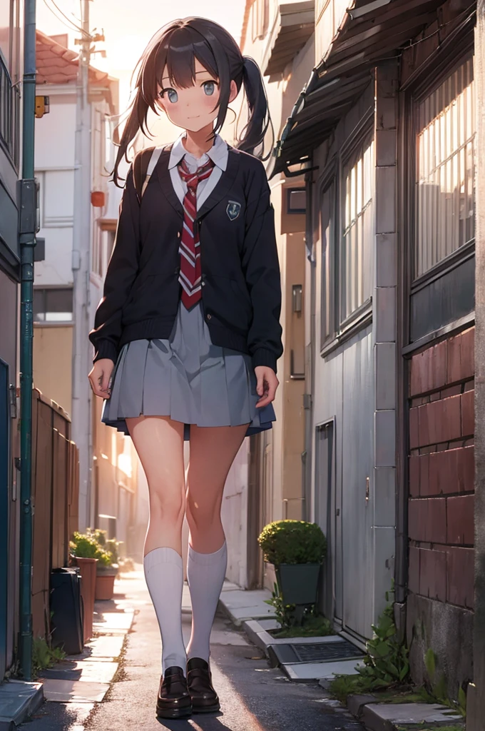 girl in school uniform, happy grey cat, alleyway, sunset, 50mm lens