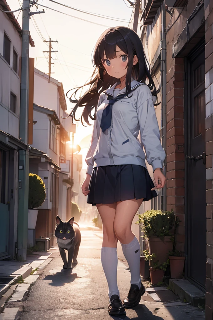 girl in school uniform with a grey cat, alleyway, sunset, 50mm lens