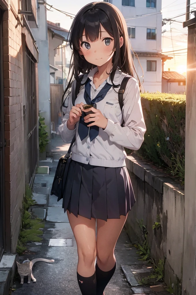 girl in school uniform feeding a grey cat, alleyway, sunset, 50mm lens