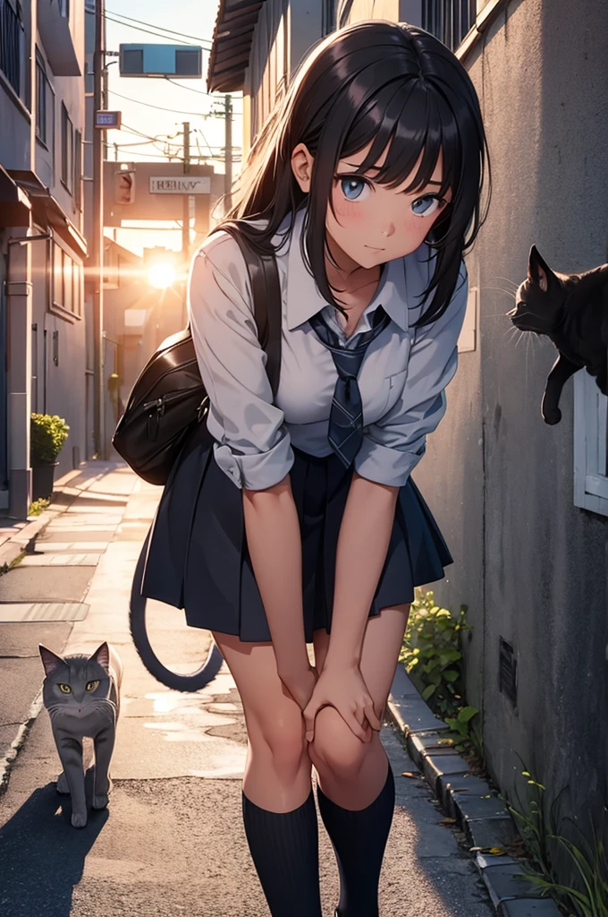 girl in school uniform petting a grey cat, alleyway, sunset, close up