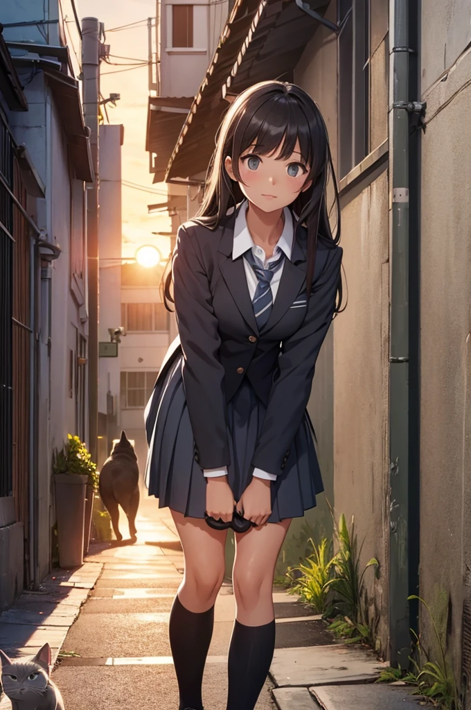 girl in school uniform petting a grey cat, alleyway, sunset, close up