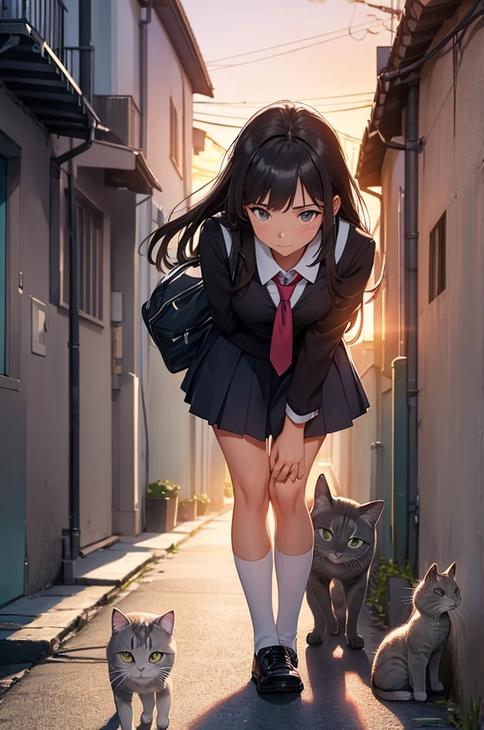 girl in school uniform petting a grey cat, alleyway, sunset, close up