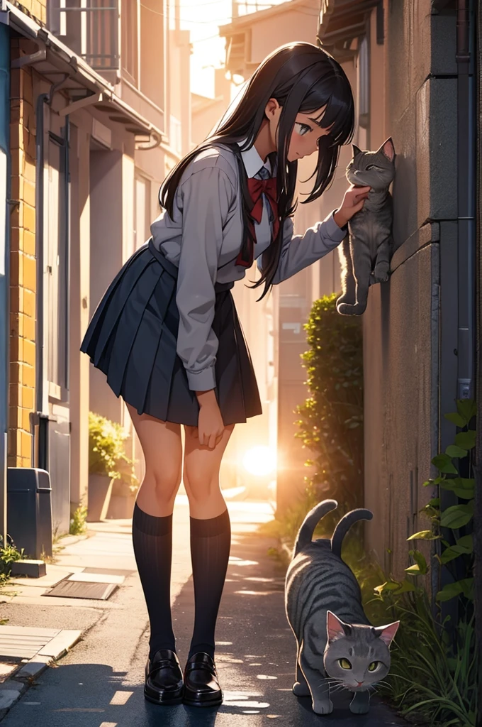 The ultra -The high-definition,Popular Anime,Cat Character Escape、Chasing a cat from one schoolgirl.,Like Hayao Miyazaki's anime,dynamic compositions,Cat in the foreground、There is a high school girl in the back,A schoolgirl is trying to catch a cat,The cat frantically runs away,Cats are wasps,Schoolgirl wears a short skirt,