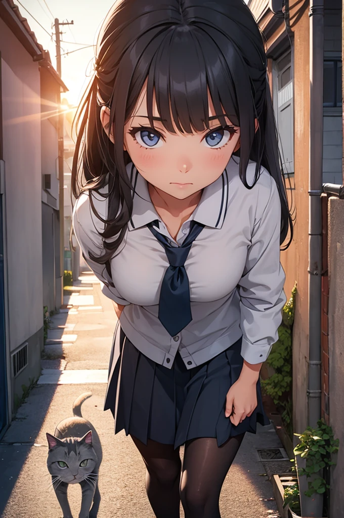 girl in school uniform petting a grey cat, alleyway, sunset, close up