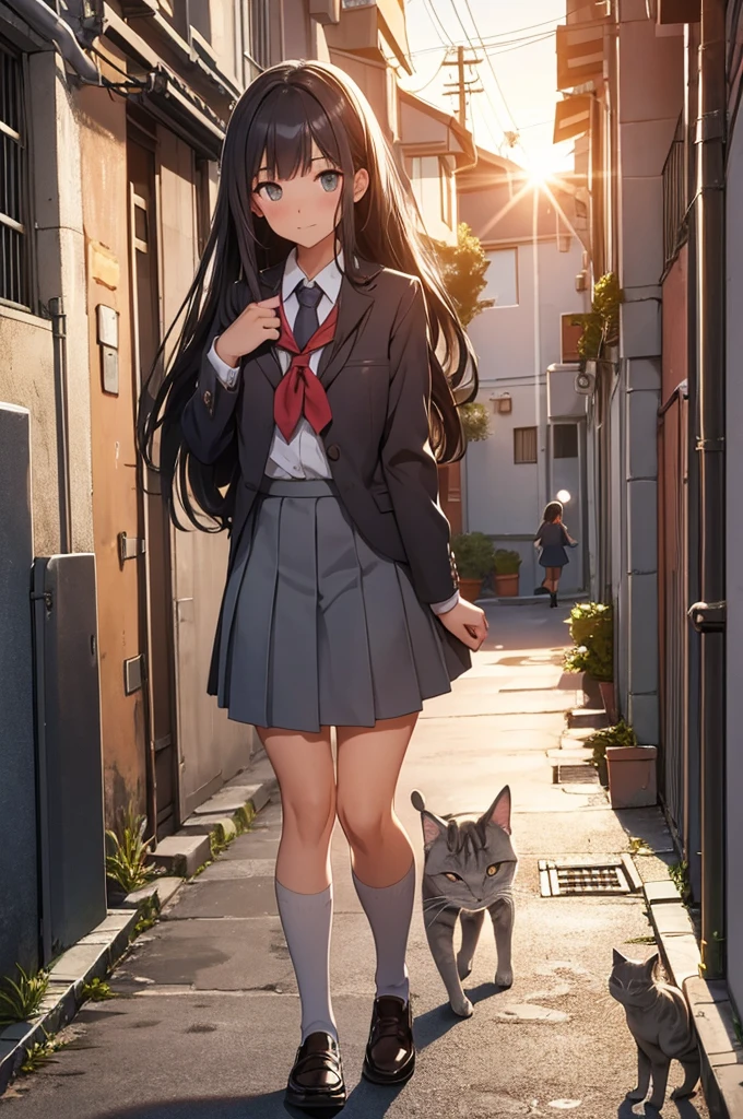 girl in school uniform petting a grey cat, alleyway, sunset, close up