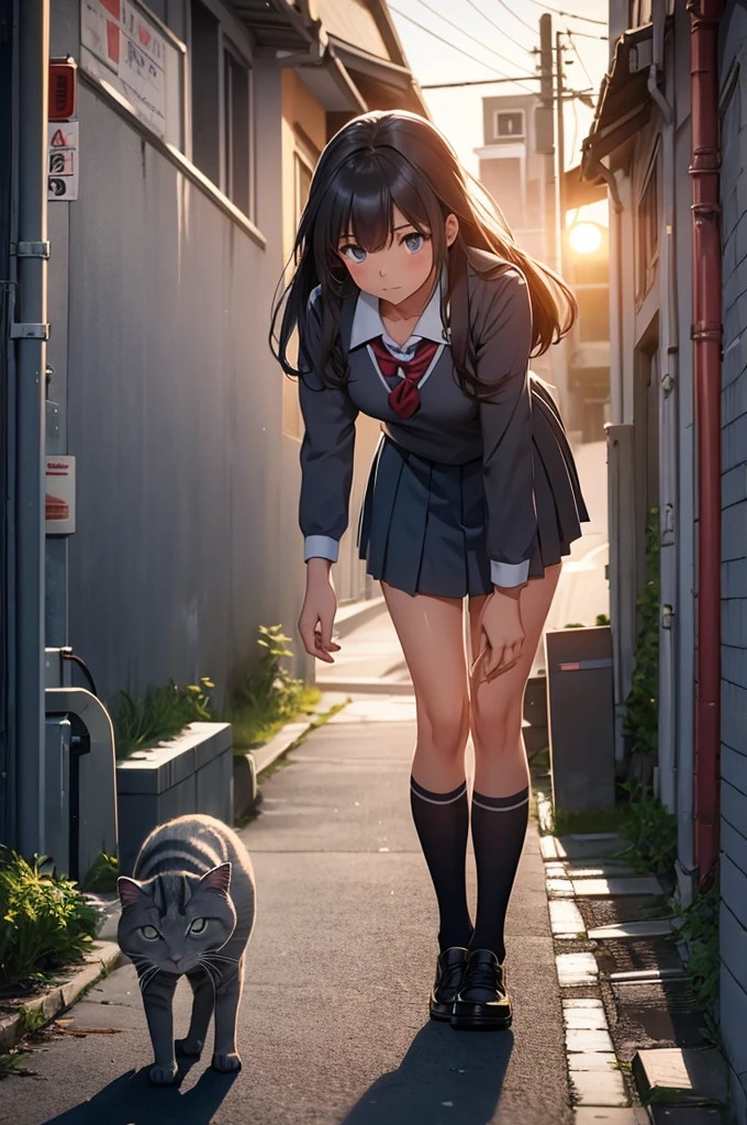 restore the skirt