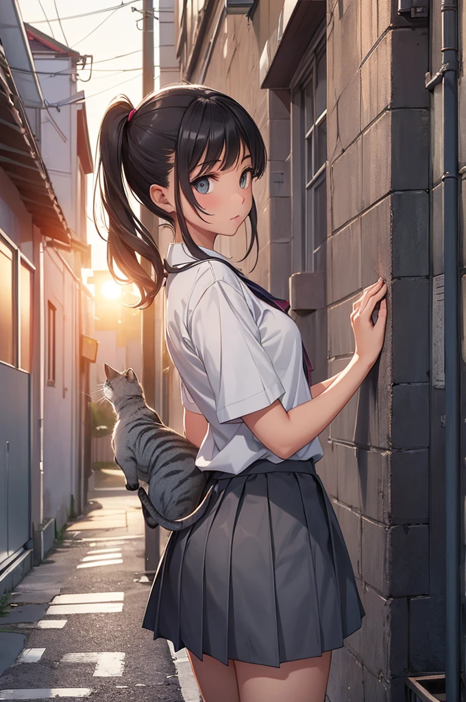 girl in school uniform touching a grey cat, alleyway, sunset, close up