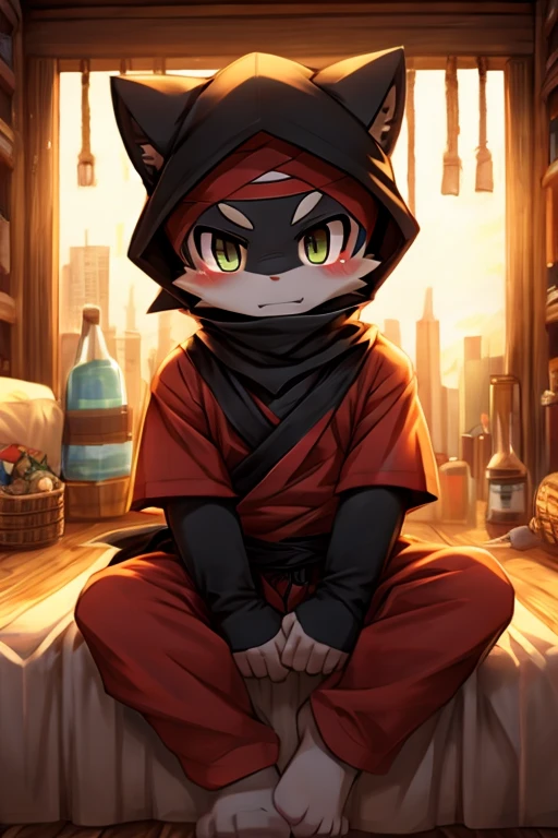 Shota Onahole Ninja