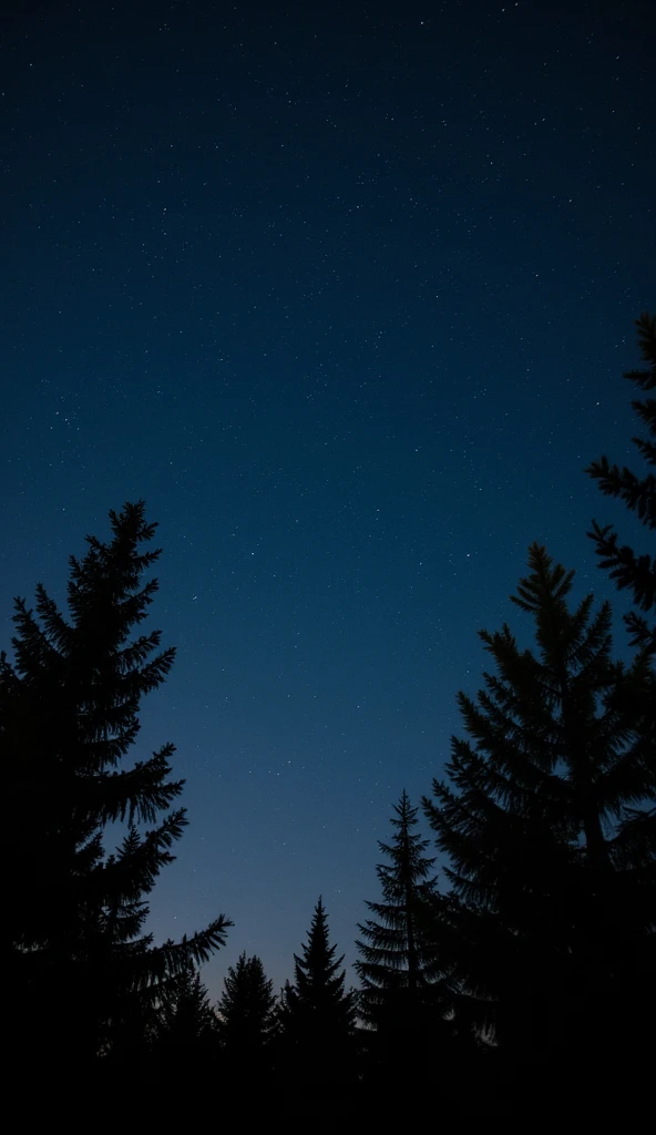 Starry night, dark sky, silhouetted trees, impressionistic.