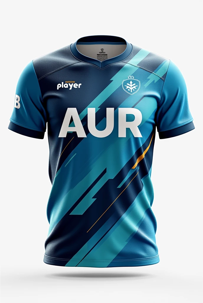 collar shirt and have a 3 button with a color dark blue (only collar). Center the big "AUR" at the front.
The backside too also have a "Player" at the center and the underneath have "Role". The overall theme color is blue, little bit of black, teal, little bit of white, slashes wind and have a snow flakes and abstract pattern or geometric