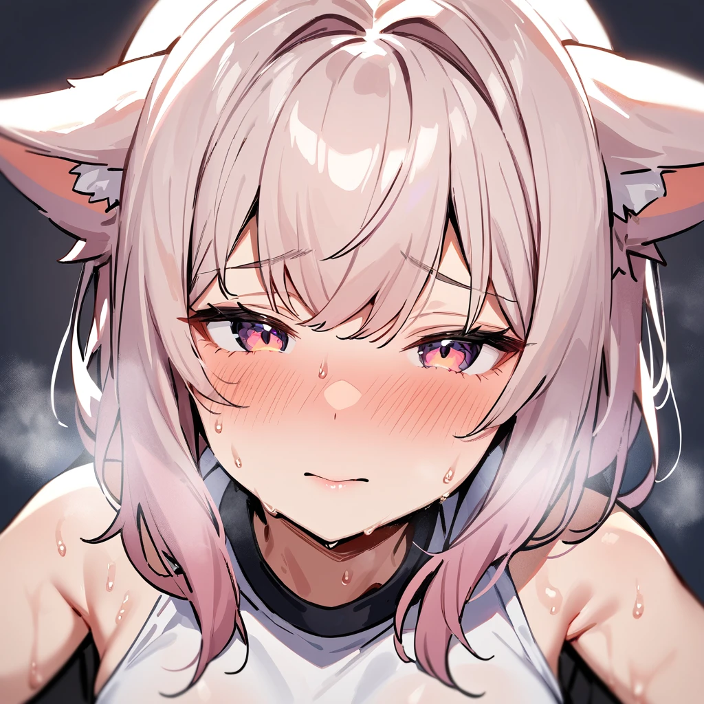 nsfw,1girl,pov,Face focus,smelling,Face,High angle,portrait,nyan,in heat,catgirl,masterpiece, best quality, very aesthetic, absurdres,Sweaty,Numbness,(Heavy Breathing),(medium shot),(front View),(medium shot:1.3)