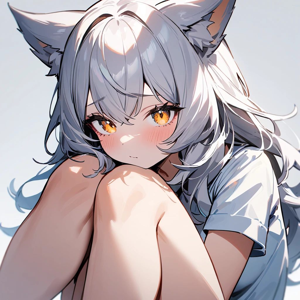 1girl,portrait,Wolfgirl,masterpiece, best quality, very aesthetic, absurdres,High Saturation,fullbody,barefoot,sitting,knees up,knees on Face