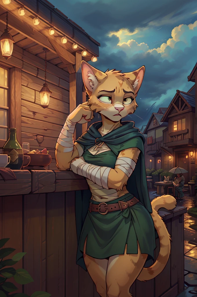 (masterpiece, best quality:1.2), katia, khajiit, feline, female, (Beautiful cute face), Charming, (cat nose), ((incredulous facial expression)), eyes are slightly closed, ((detailed beautiful female eyes)) yellow fur, medium breasts, green ripped shirt, brown cape, brown hood, tail, outdoors, dark time of day, (dark cloudy weater, rain), dirty road, tavern on background, small city, (bandages), fatigued, hungry, exhausted, grumpy, frown, embarassed, pleading