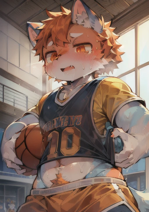 masterpiece, high quality, Absurd answer, number \(artwork\), by Dagasi, Yes,Seizan,(Fluffy fur:1.1),(bright:0.8),Anthropomorphic male cat. (Orange Eyes,Gray blue fur, Body hair, Cat nose:1.2), bright eyes,panoramic,character focus.Detailed background,(Basketball Jersey, Sweating,Dribbling, play basketball:1.2),(indoor, Basketball Court:1.2)