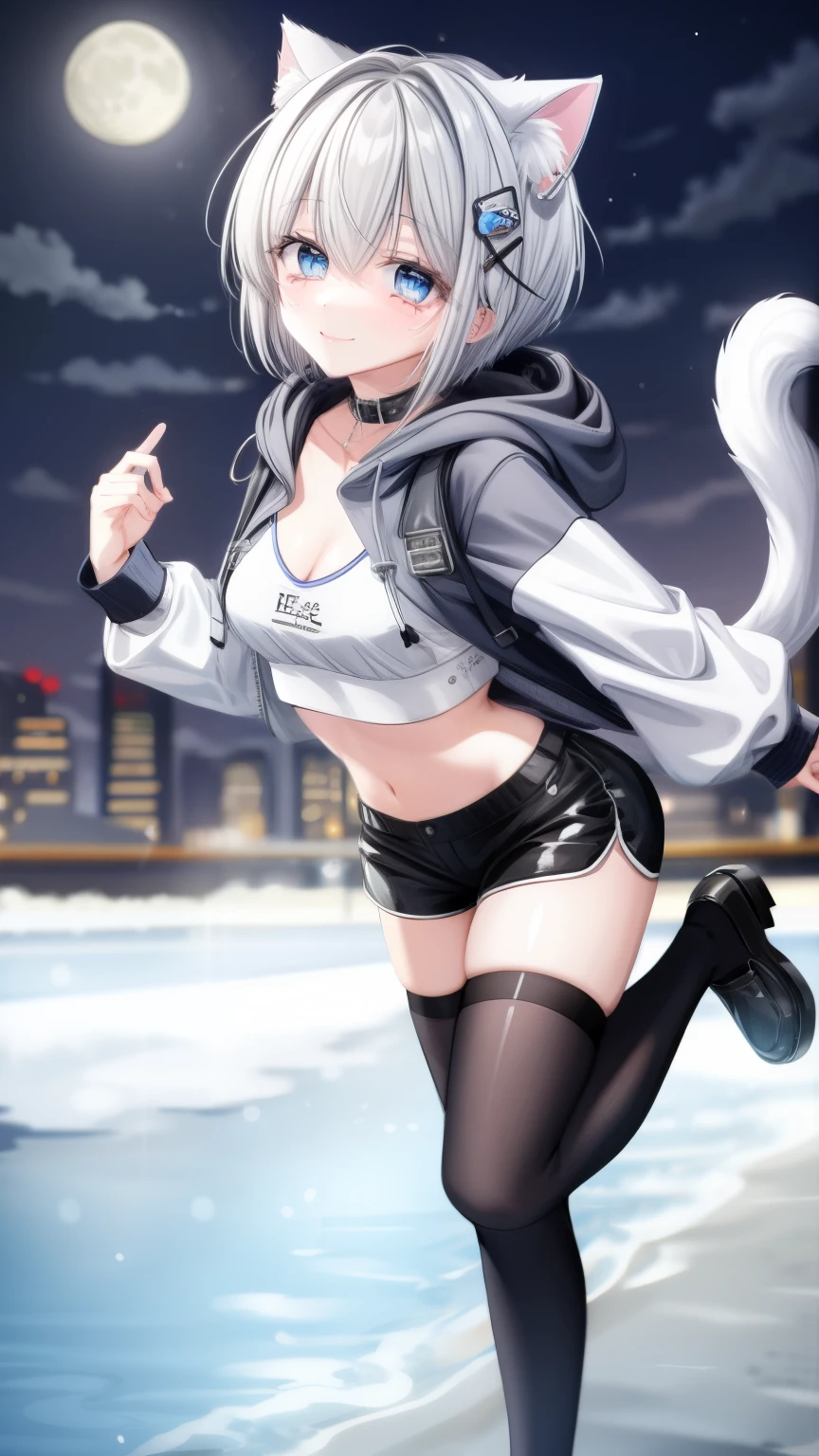 (masterpiece), (best quality), (High quality), BREAK, expressive eyes, BREAK, perfect face, 1girl, (grey cat ears), (medium hair, grey hair), ((pixie cut)), BREAK, (big eyes, perfect eyes, blue eyes, thick eyelashes), thin eyebrow, BREAK, ((smile)), BREAK, (short height), BREAK, slim bulid, BREAK, (medium breasts), (clevage), BREAK, view from front, BREAK, ( white hoodie, hood off), BREAK, (black shorts), BREAK, (loafers), (black over-the-knee socks)),  BREAK, (expressive dancing), (full body), (city scape, night, moon, moonlight), more_details:-1, more_details:0, more_details:0.5, more_details:1, more_details:1.5,