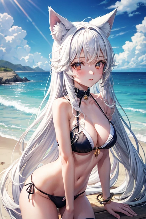 Girl，White long hair，Wolf ears，Beach，Bikini