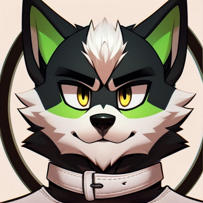  A black furry wolf with green ears and white hair between its ears and on its chin.. His eyebrows are circles and lines under his eyes.. wearing white leather clothes