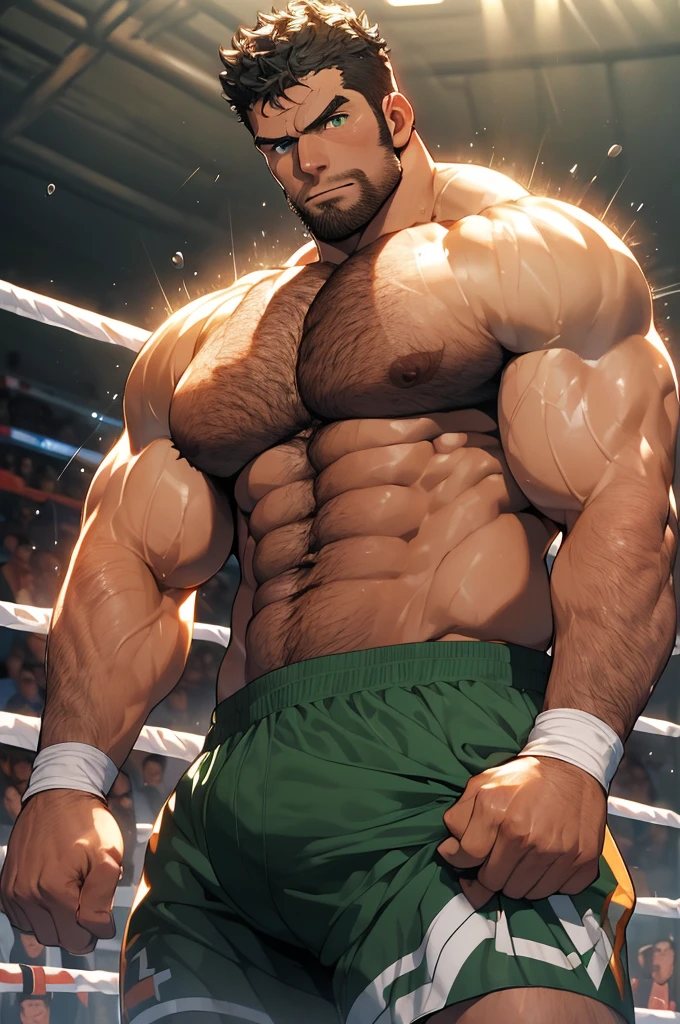 (masterpiece, best quality, extremely high detail, ultrahigh definition, stylized pose, high quality, 4k resolution). very muscular handsome boxer man in his early twenties, long curly black hair, green eyes, detailed eyes, full beard, intimidating expression, very hairy chest and arms, shirtless, fighting pose, small tight shorts, bulge, Tanned skin. Background: Standing in a boxing ring, 32k uhd, best quality, masterpiece, super detail, high details.