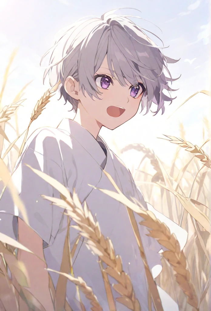 high resolution,Gray Hair,Purple Eyes,mash,There is wheat,Fluttering,White clothes,boy