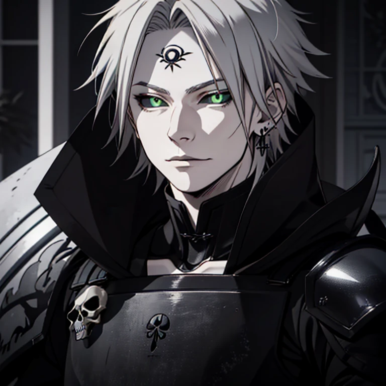 1boy, white boy, white boy, pale skin, ((gray skin)),eighteen years old, white skin, male focus, no wrinkles, (((silver hair)), 【Feature】Black Sclera, green eyes, earring, wearing armor darkness, skull in armor