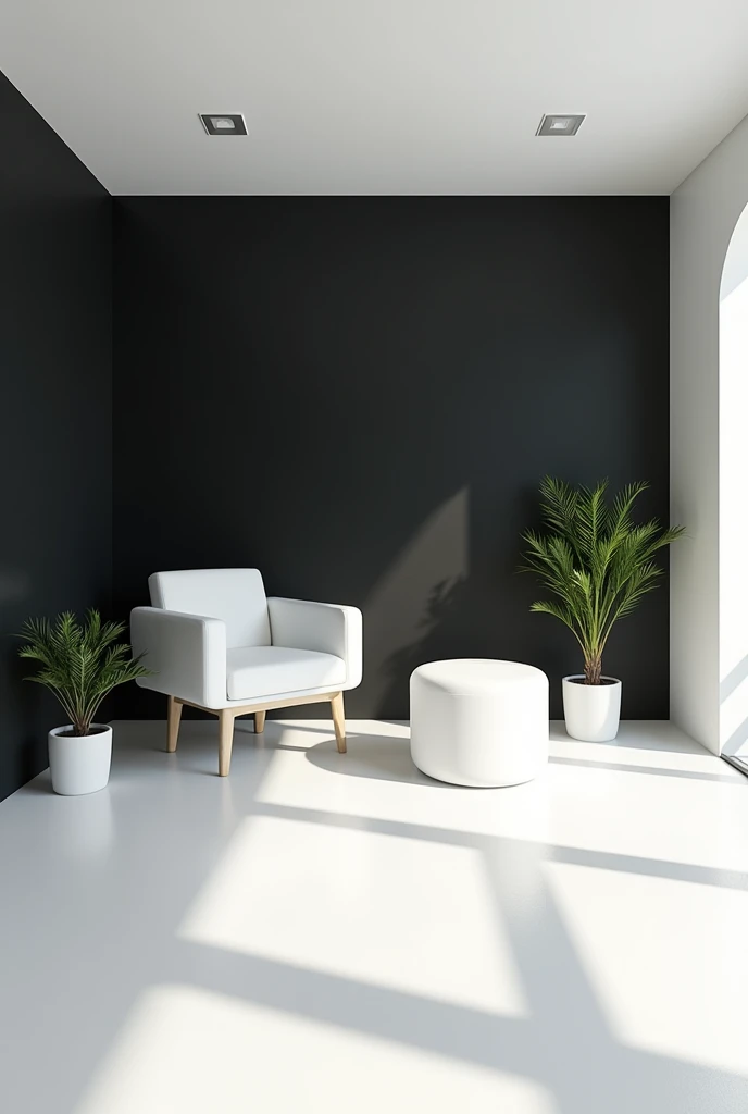 Make a room with black walls, with white furniture and white ceiling and floor and with little plants