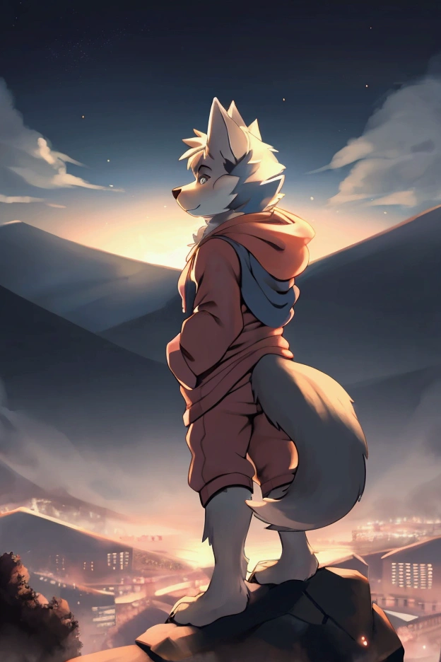 a complete body, Anthropomorphic wolf wearing a hoodie looking at the stars on a hill at sunrise with a city background