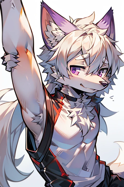 solo person,shaggy male,Furry,coyote,canid,Gray fur,long white hair,The ends of the hair are purple,a purple eye,Bullied,adolable,Handsome,Stretching action