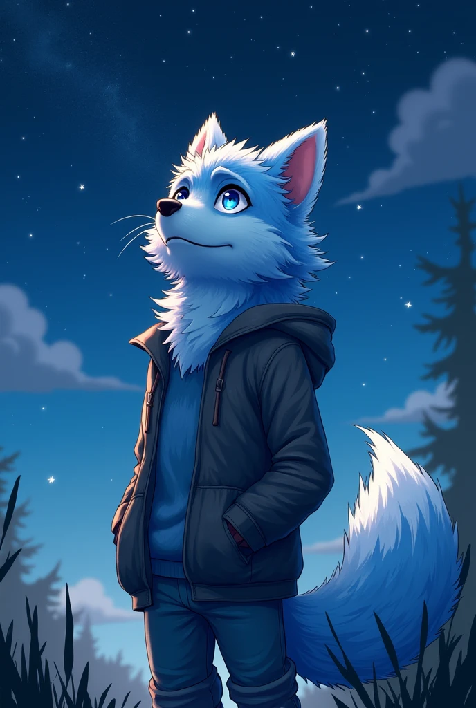 hairy、Adult male、Ultra-HD 4K Fan Art、hairy的、Bright Eyes,hairy的 tail,Slightly sad,Stargazing at night,Canines,Light blue fur,Alone,Wear casual clothing