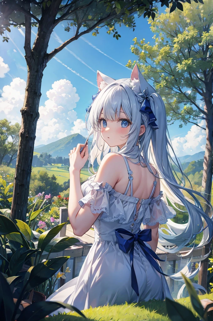 {{{wonderland}}} , views, forest