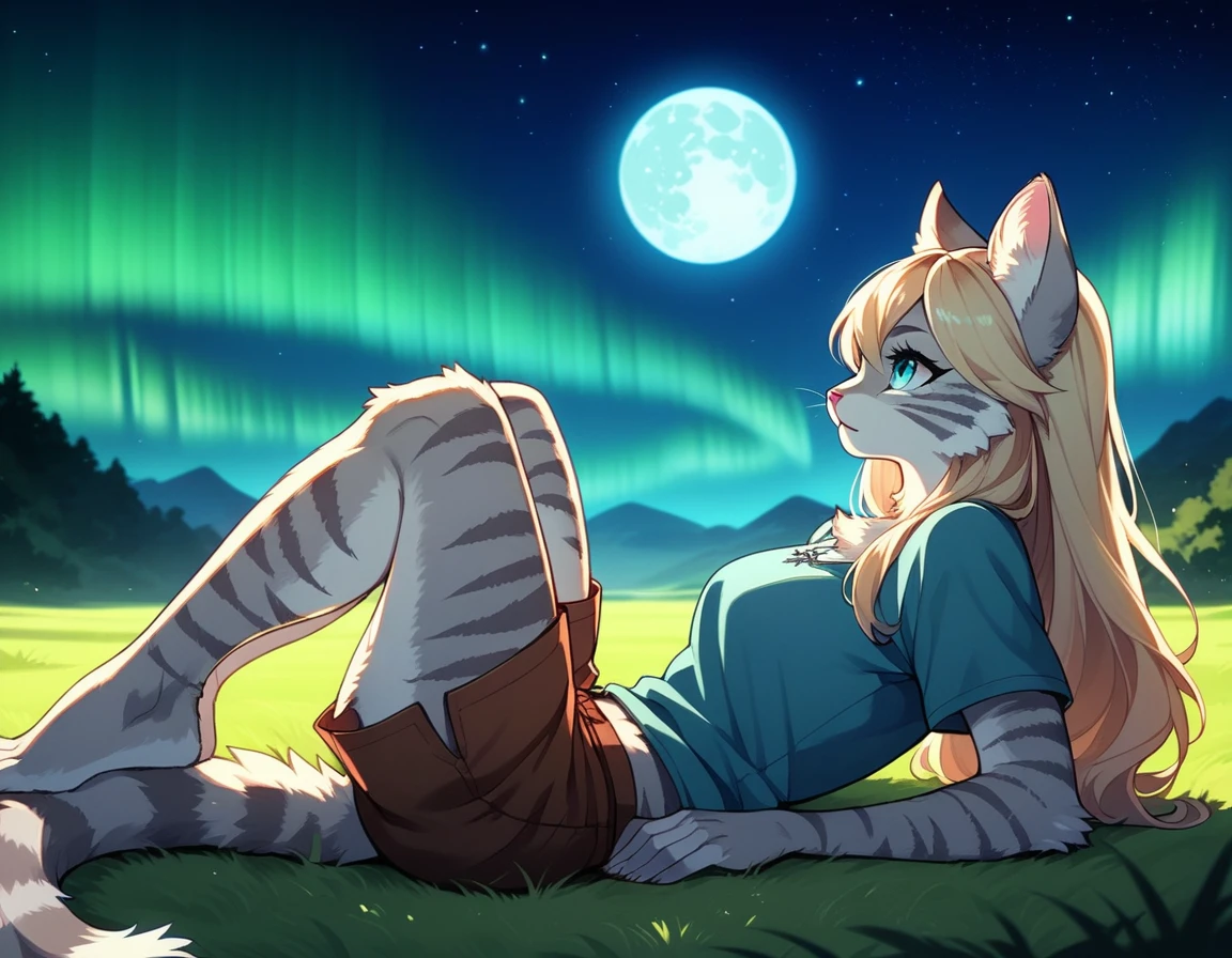 score_9,score_8_up,score_7_up, score_6_up, score_5_up, source_anime, kemono style, Kat, female Anthro furry feline, silver fur, grey stripes on body, blue eyes, long blonde hair, pink nose, :3, she is wearing blue tunic, brown short shorts, barefoot, lying on her back, legs crossed, one foot up, at a small campsite, hands behind head, lying on a brown sleeping bag, on a grassy hill, scenery shot, far away shot, beautiful starry night sky, aurora borealis, full moon, looking up at the sky, content expression, side view, 