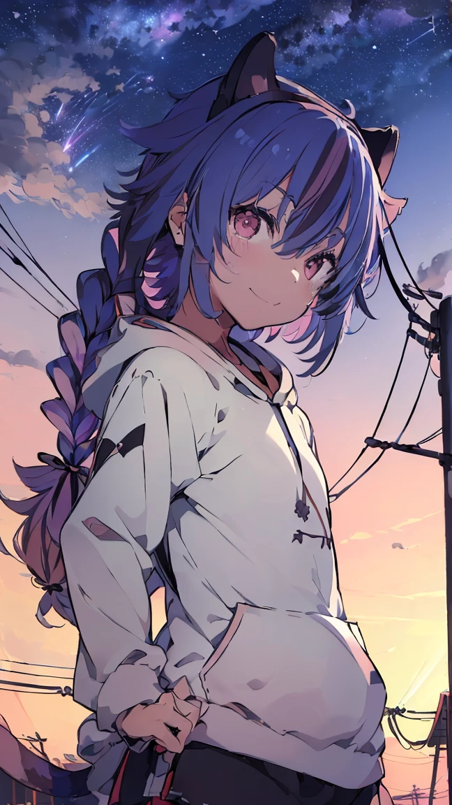 masterpiece, Highest quality, High resolution, Very detailed,(((Cat ears Mikoto))), (((With a cat tail。))), (((Town)))、(((electric wire)))、(((smile)))、(((Standing in the distance))), (((Wearing a black hoodie。))), Electric pole, night, (((Starry Sky))), (((comet))), (((Blue Hair))), (((Multicolored Hair))), (((horn))), (((Pink Eyes))), (((Braid)))