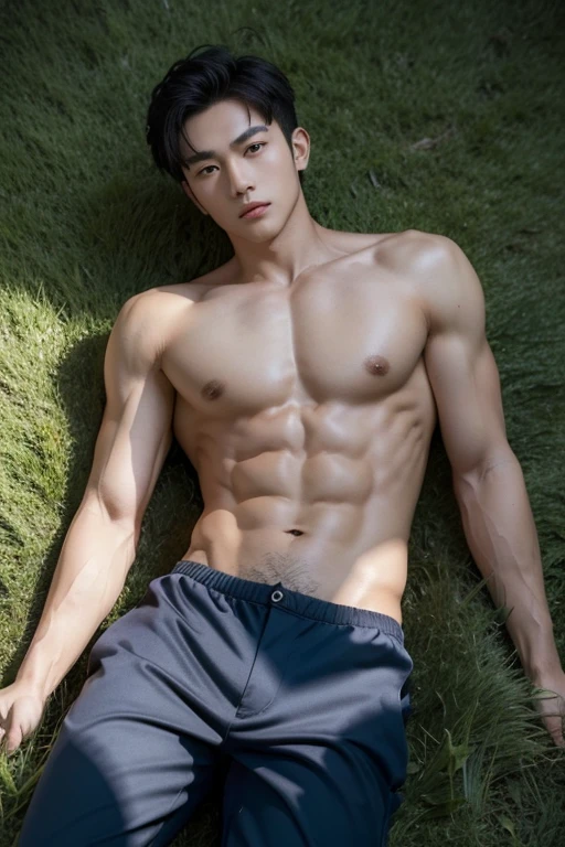 Create a 64k virtual reality photo. Background of grassland on a hill, green grass, dim sunlight on a cloudy day. Low-angle portrait of a young Vietnamese man, short haircut, handsome and dark face, fine tan skin, beautiful chest and abdominal muscles, well-proportioned body, wearing blue underwear, lying on a grassy hill with his legs spread wide.