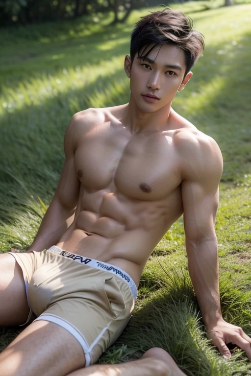 Create a 64k realistic photo of a grassy hill background, with lush green grass and soft sunlight on a cloudy day. Low angle portrait of a young Vietnamese man, short hair, handsome and sharp features, tanned skin, well-defined chest and abs, athletic build, wearing a nude-colored underwear, lying on the grassy hill with his legs spread wide.