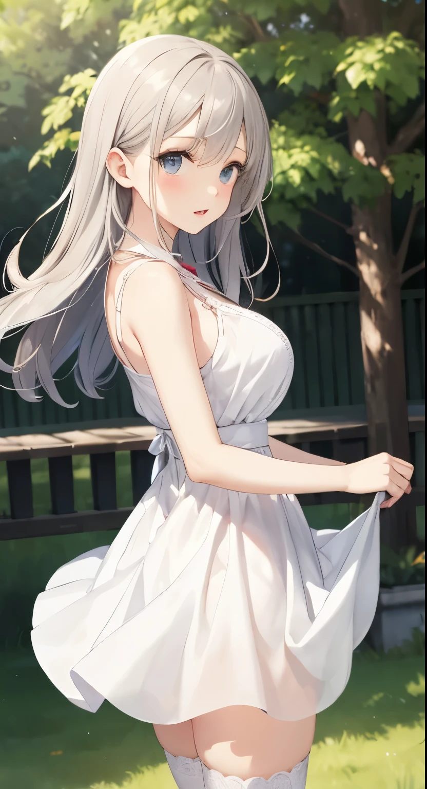Big Breasts:1.2、、Highest quality、Very detailed、Highly realistic eye masterpiece、Highest quality、Very detailed、Gray Hair、Perfect Face、Long Hair、White Dress、Sundress、anime、countryside、Gutter Belt、White Stockings、{{{{{M-shaped legs}}}}}、nsfw、From the side、Slightly transparent、Crotch、I can see it、hide、The wind is blowing、Skirt rolled up、A glimpse、