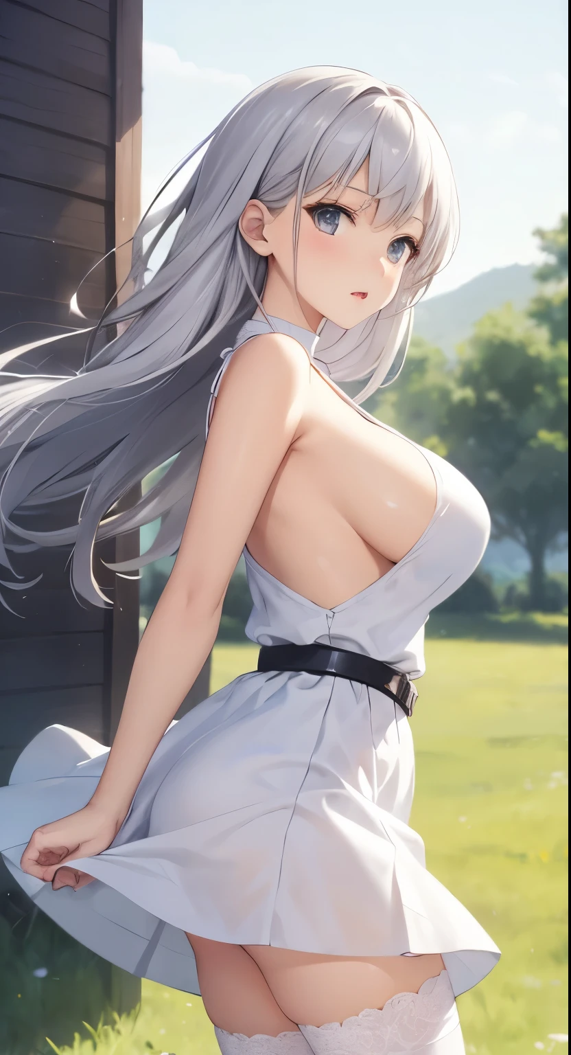 Big Breasts:1.2、、Highest quality、Very detailed、Highly realistic eye masterpiece、Highest quality、Very detailed、Gray Hair、Perfect Face、Long Hair、White Dress、Sundress、anime、countryside、Gutter Belt、White Stockings、{{{{{M-shaped legs}}}}}、nsfw、From the side、Slightly transparent、Crotch、I can see it、hide、The wind is blowing、Skirt rolled up、A glimpse、