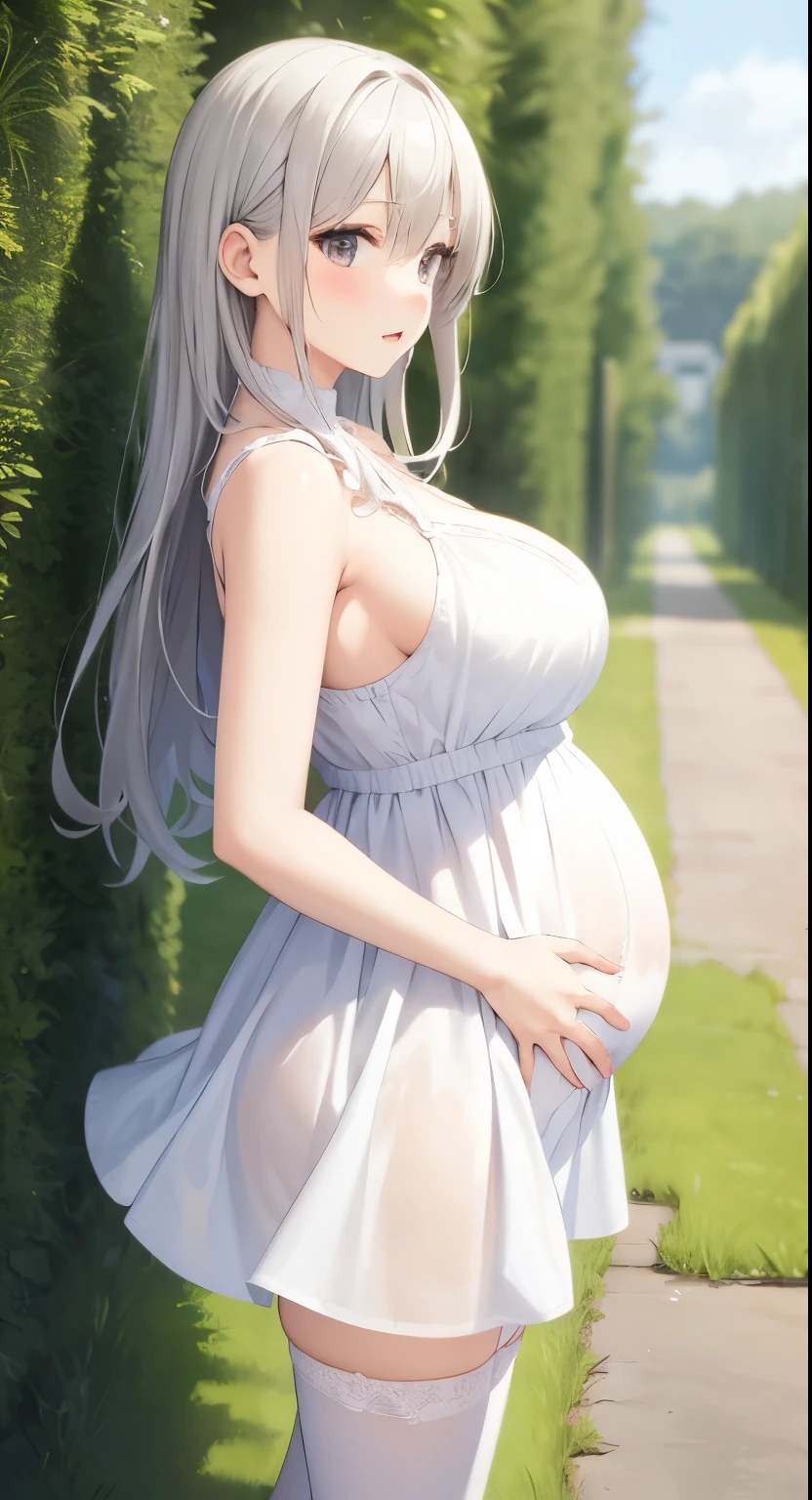 Big Breasts:1.2、、Highest quality、Very detailed、Highly realistic eye masterpiece、Highest quality、Very detailed、Gray Hair、Perfect Face、Long Hair、White Dress、Sundress、anime、countryside、Gutter Belt、White Stockings、{{{{{M-shaped legs}}}}}、nsfw、From the side、Slightly transparent、Crotch、I can see it、hide、The wind is blowing、Skirt rolled up、A glimpse、pregnancy