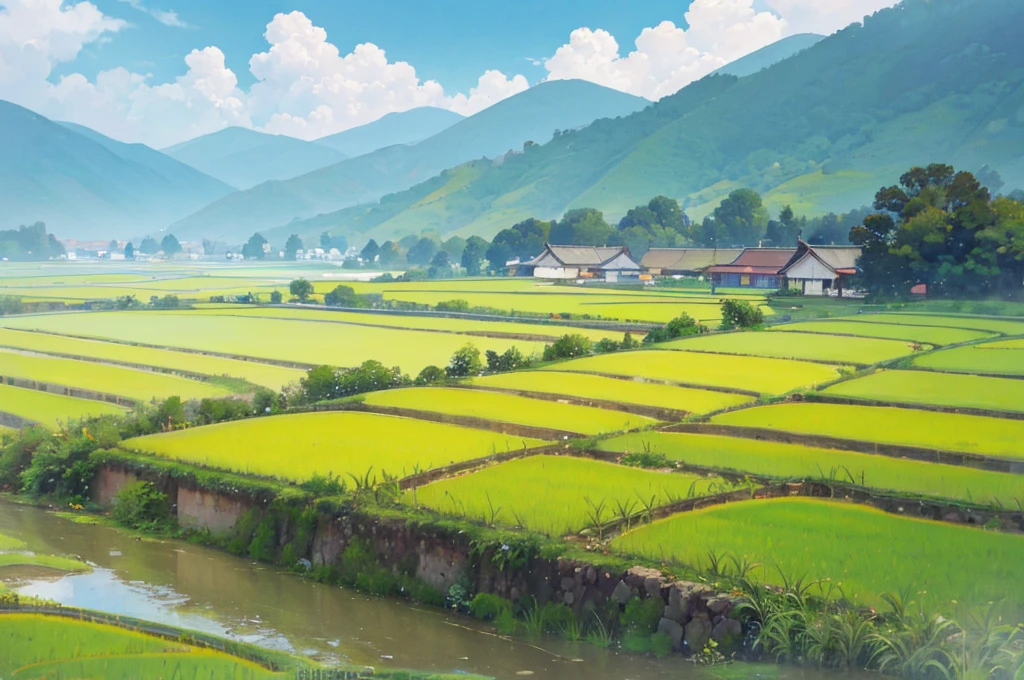 a view of the village from the roadside, with rice paddies and roadside fences