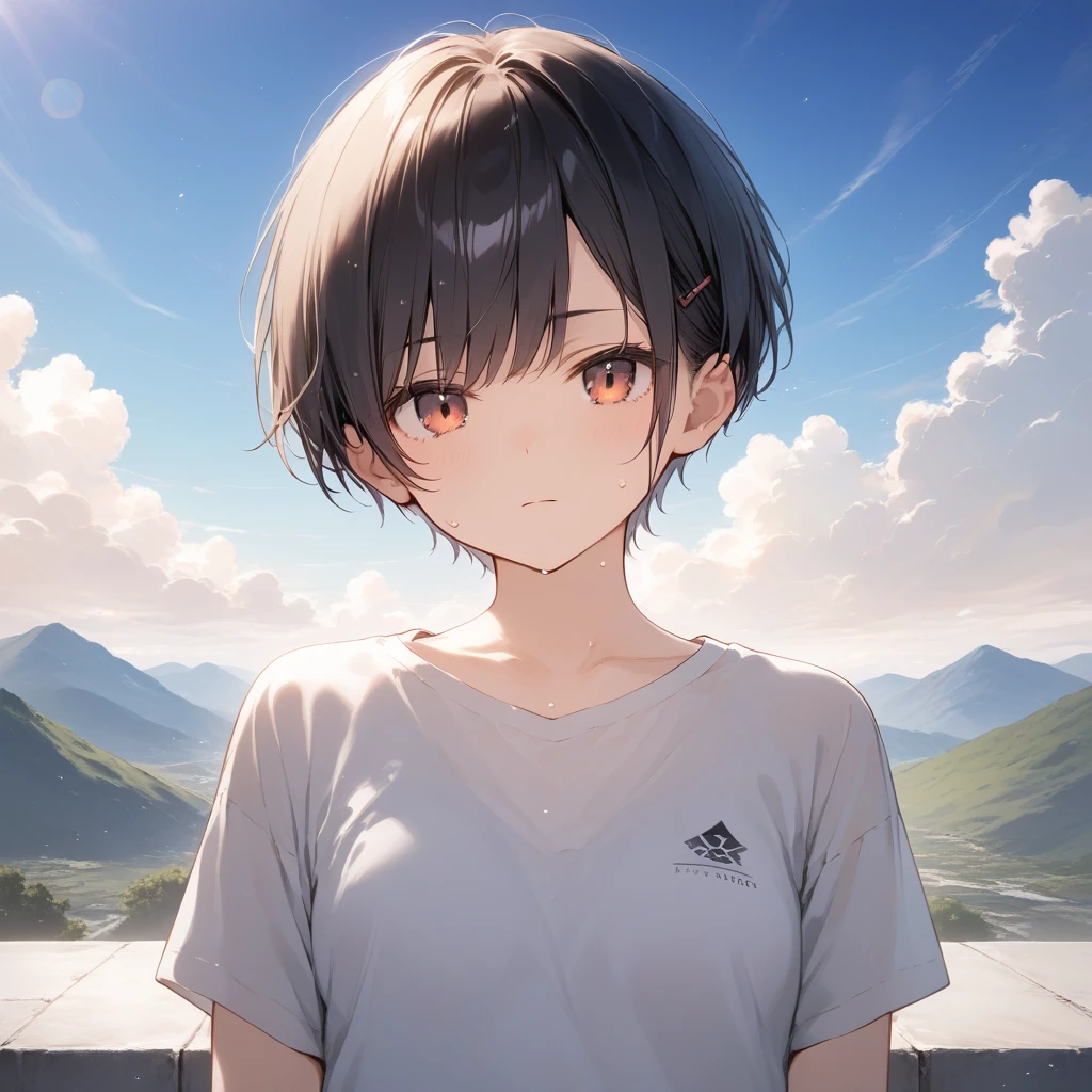 score_9, score_8_up, score_7_up, source_anime, best quality, masterpiece, official art, absurdres, highres, ultra-detailed,waifu2x,Collection: Pixiv 1000,break,1girl, school girl, very short hair, pixie cut, small breasts, slender, thighs, beautiful detailed eyes, expressionless, sweat, sleepily, (disgust:0.3), mountain, outdoors, break,(clear line illustration:1.2), super detailed skin, shiny skin, very high resolution, very aesthetic, Best sexual lighting powered by famous artist, 4k, 8k, 16k, cute picture, beauty illustration,photoshop_(medium),,(Detailed Lighting),best anime 8k konachan wallpaper, pixiv contest winner,