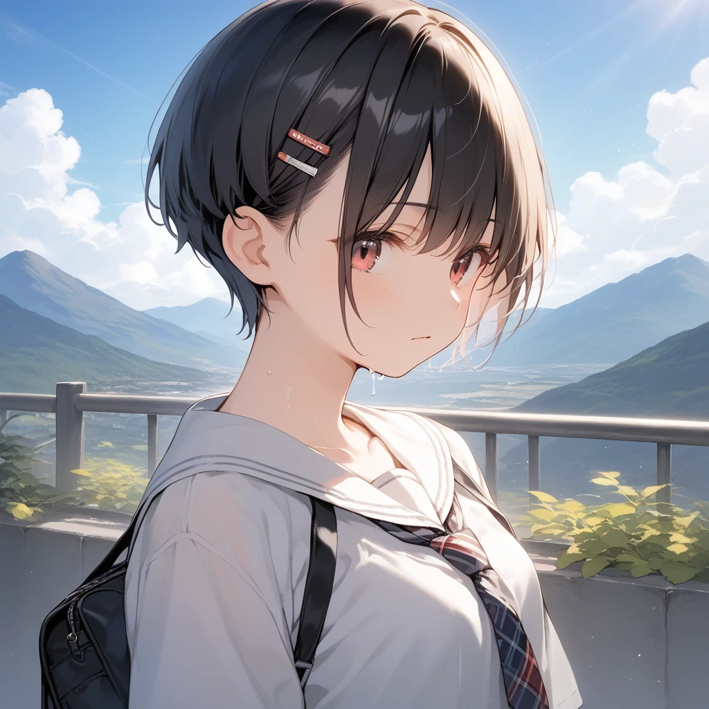 score_9, score_8_up, score_7_up, source_anime, best quality, masterpiece, official art, absurdres, highres, ultra-detailed,waifu2x,Collection: Pixiv 1000,break,1girl, school girl, very short hair, pixie cut, small breasts, slender, thighs, beautiful detailed eyes,  expressionless, sweat, sleepily, (disgust:0.3), mountain, outdoors, break,(clear line illustration:1.2), super detailed skin, shiny skin, very high resolution, very aesthetic, Best sexual lighting powered by famous artist, 4k, 8k, 16k, cute picture, beauty illustration,photoshop_(medium),,(Detailed Lighting),best anime 8k konachan wallpaper, pixiv contest winner, 