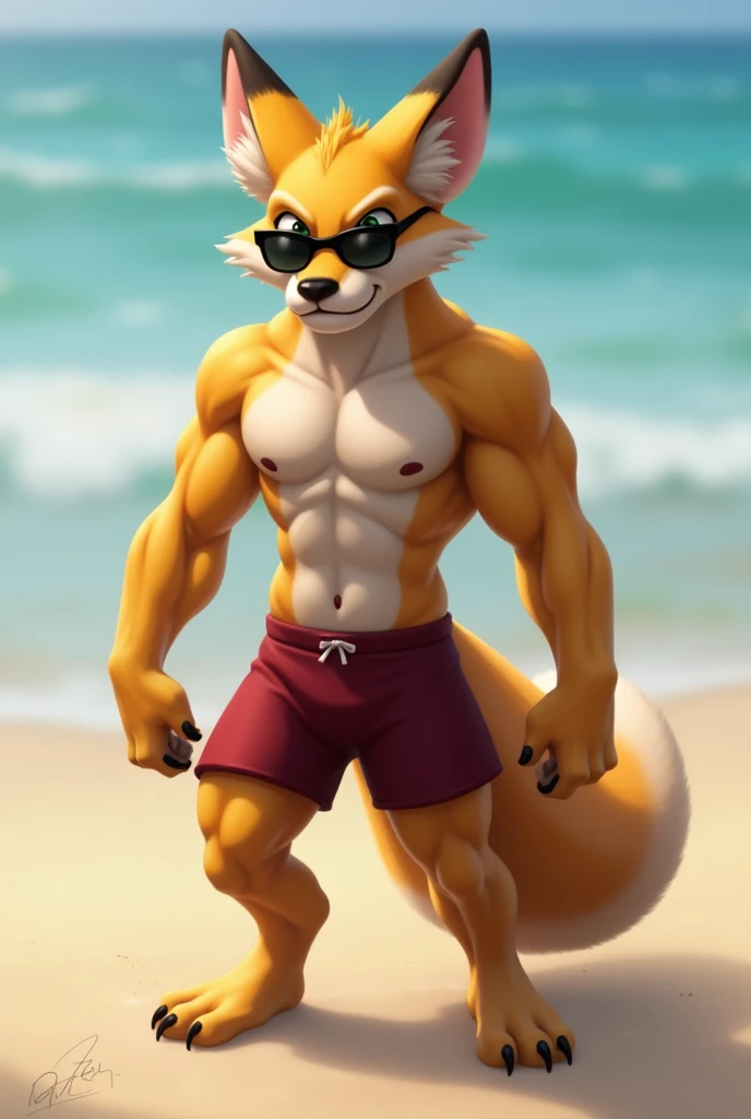 Muscular fox During muscle training Swim trunks