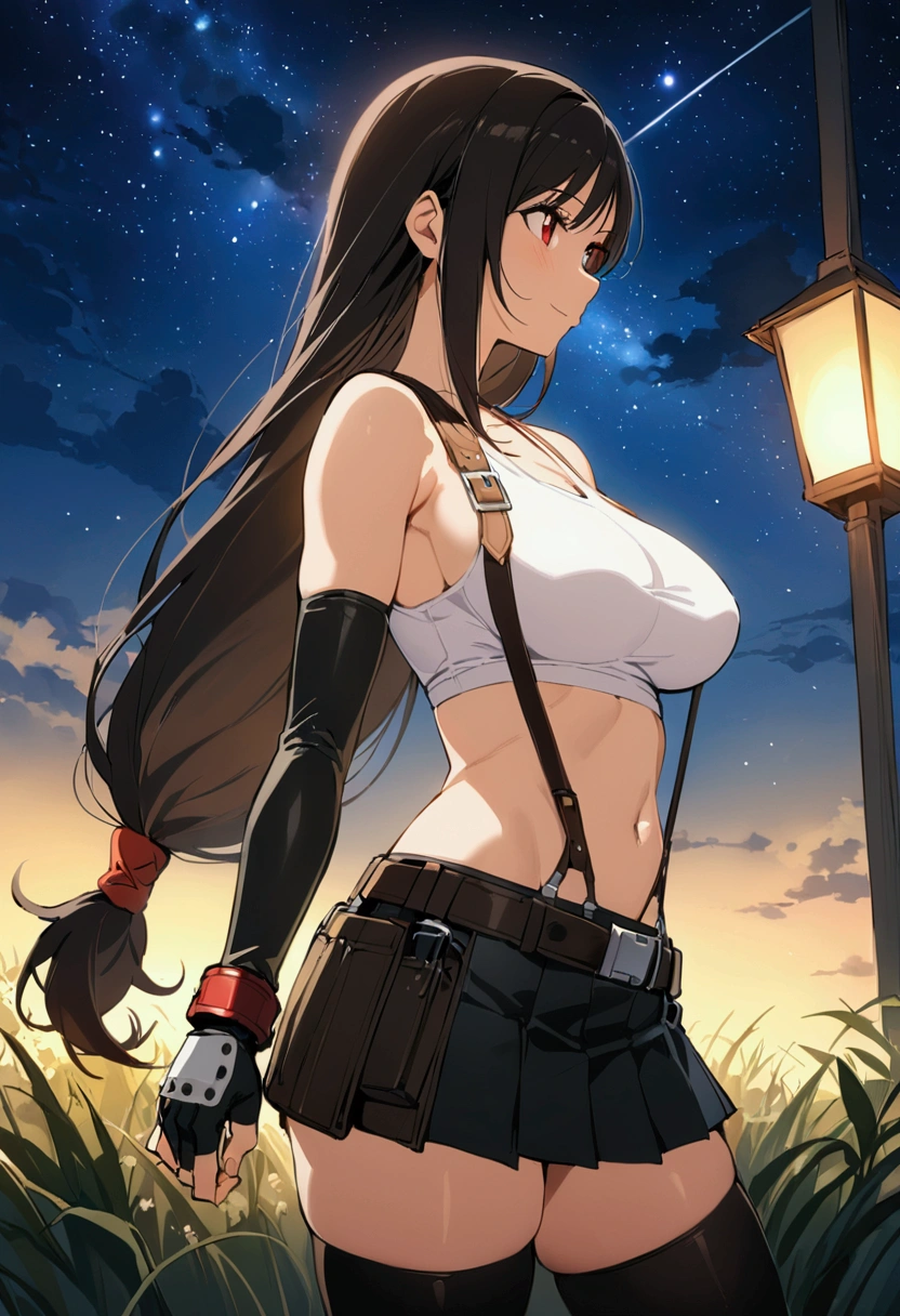 score_9,score_8_up,score_7_up,BREAK source_anime, masterpiece, best quality, (recent), perfect anatomy, very aesthetic,anime style,upperbody,,Solo,1girl, tifa lockhart, final fantasy,black hair, low-tied long hair, red eyes, bangs, (white tank top,gap),(High exposure),the ribs,belt, pleated skirt, thighhighs, elbow fingerless gloves, midriff, navel,suspenders.skirt),beautiful waist ,(large_breast:1.3),(from side,looking away),standing,arms in sides,light smile,,,outdoor,star sky,night, skin tight, depth of field、beautifully lit,great lighting