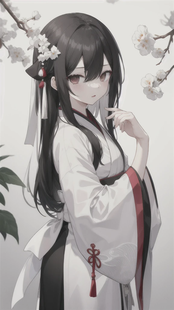 wagtail,Long black hair that fades into white,black and white hanfu,Black left eye,silver right eye