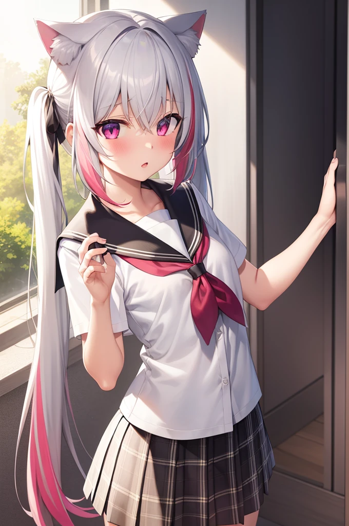 1girl, cat girl, Cat ears, grey hair, streaked hair, pink hair, long hair, hair between eyes, twintails, sailor collar, 
highly_detailed, extremely_detailed_CG_unity_8k_wallpaper, highres, absurdres, beautiful_detailed_eyes, finely_detailed_clothing, finely_detailed_light, highly_detail_hair_, 
colorful, light rays, caustics, aistics, lens flare, bokeh, nsfw, flat-chested, pink eyes, White silk stockings, JK Uniform Plaid Skirt, school uniform, Light pink mini skirt, blush, 
score_anime, score_9, score_8_up, masterpiece, beautiful scenery, illustration,