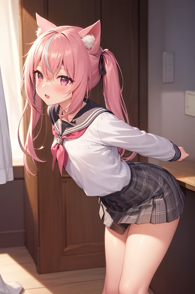 1girl, cat girl, Cat ears, grey hair, streaked hair, pink hair, long hair, hair between eyes, twintails, sailor collar, 
highly_detailed, extremely_detailed_CG_unity_8k_wallpaper, highres, absurdres, beautiful_detailed_eyes, finely_detailed_clothing, finely_detailed_light, highly_detail_hair_, 
colorful, light rays, caustics, aistics, lens flare, bokeh, nsfw, flat-chested, pink eyes, White silk stockings, JK Uniform Plaid Skirt, school uniform, Light pink mini skirt, blush, 
score_anime, score_9, score_8_up, masterpiece, beautiful scenery, illustration,
