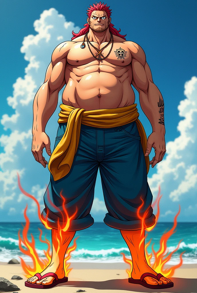 Um personagem de One Piece, he has red hair, wears pants that have a fire effect, is 2 meters and 40 centimeters tall, He has a scar on his right eye and another scar on his chest that is shaped like an X and he also wears red flip-flops.