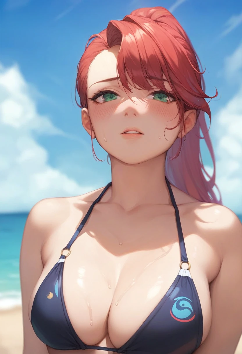 Masterpiece,Highest quality,Very detailed,8k CG,
Shoot from the chest up,
View your viewers,Side by Side,Body facing forward,
Swimwear,blush,shy,Ecstasy face,Red Hair,Long Hair,ponytail,Destroy the green eyes,
Perfect breasts,Close your mouth,
Seaside、blue sky
