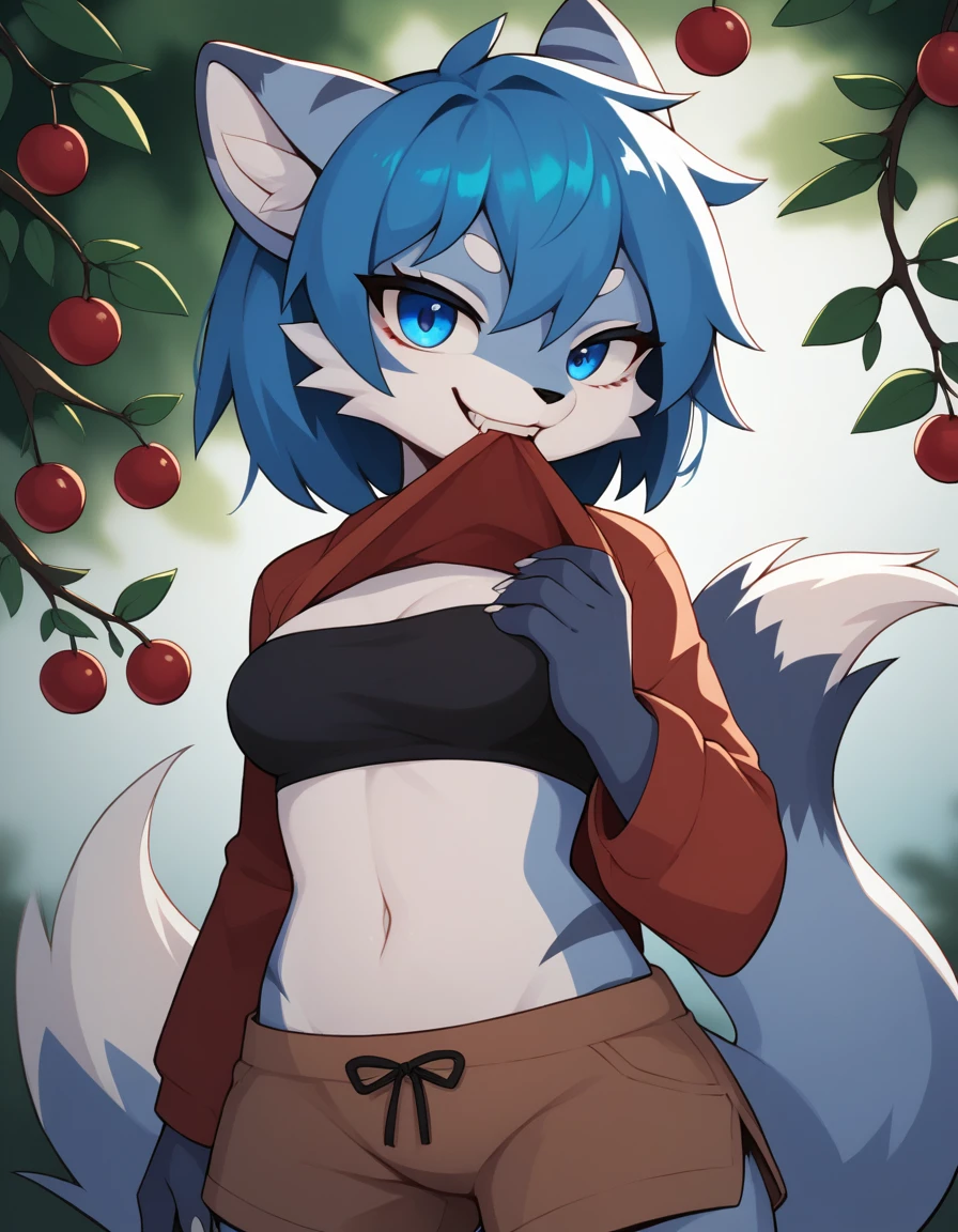Solo, score_9,score_8_up,score_7_up, source_furry, (kitsune, Anthro furry foxy girl, adult female, blue eyes, blue hair, hair in a pony tail, eyes half closed, silver fur, grey stripes, tail), wearing blue bandeau, brown shorts, standing, feline teeth, a cherry placed between her teeth, biting on a cherry, (a cherry in her mouth):1.4, close up, seductive