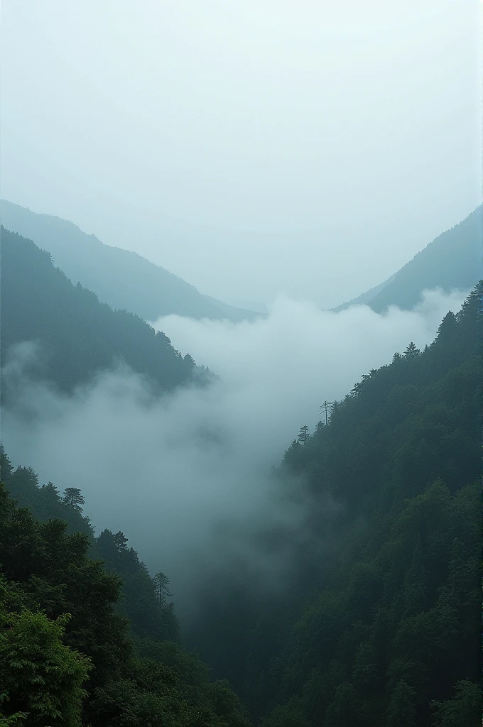 I have a picture on my mobile phone that I want you to remove the fog from.