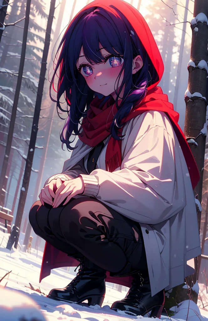 aihoshino, Ai Hoshino, Long Hair, bangs, (Purple eyes:1.1), Purple Hair, (Symbol-shaped pupil:1.5), smile,,smile,blush,white breath,
Open your mouth,snow,Ground bonfire, Outdoor, boots, snowing, From the side, wood, suitcase, Cape, Blurred, , forest, White handbag, nature, Squat, Mouth closed, Cape, winter, Written boundary depth, Black shoes, red Cape break looking at viewer, Upper Body, whole body, break Outdoor, forest, nature, break (masterpiece:1.2), Highest quality, High resolution, unity 8k wallpaper, (shape:0.8), (Beautiful and beautiful eyes:1.6), Highly detailed face, Perfect lighting, Highly detailed CG, (Perfect hands, Perfect Anatomy),